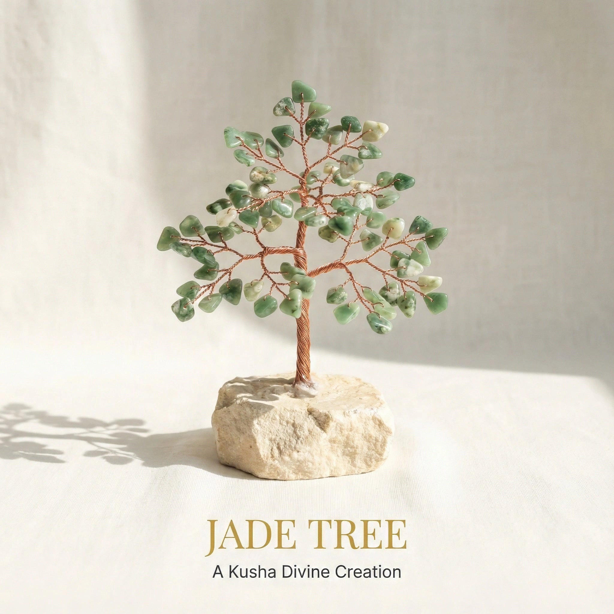 Jade Tree