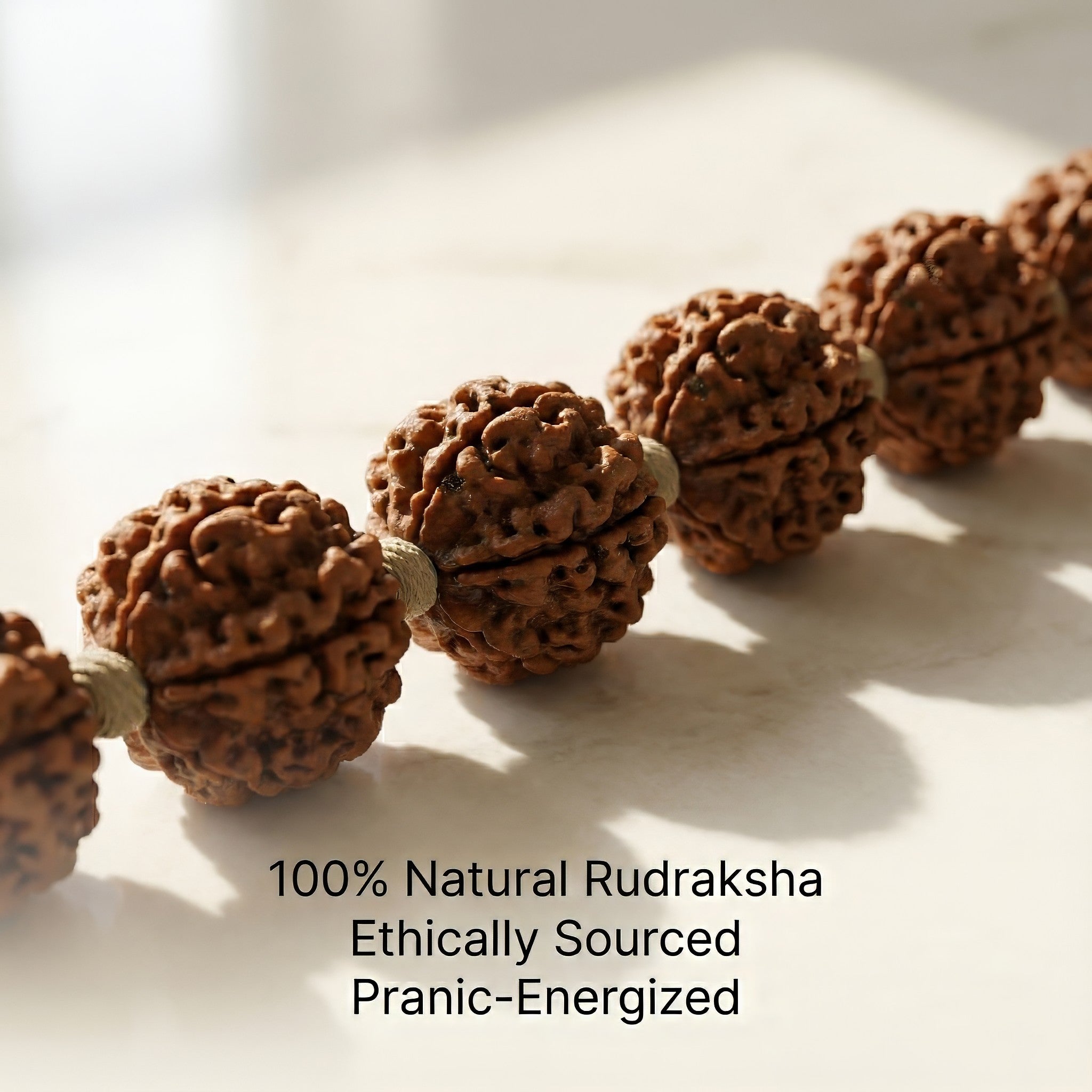 Rudraksha & Crystal Hanging