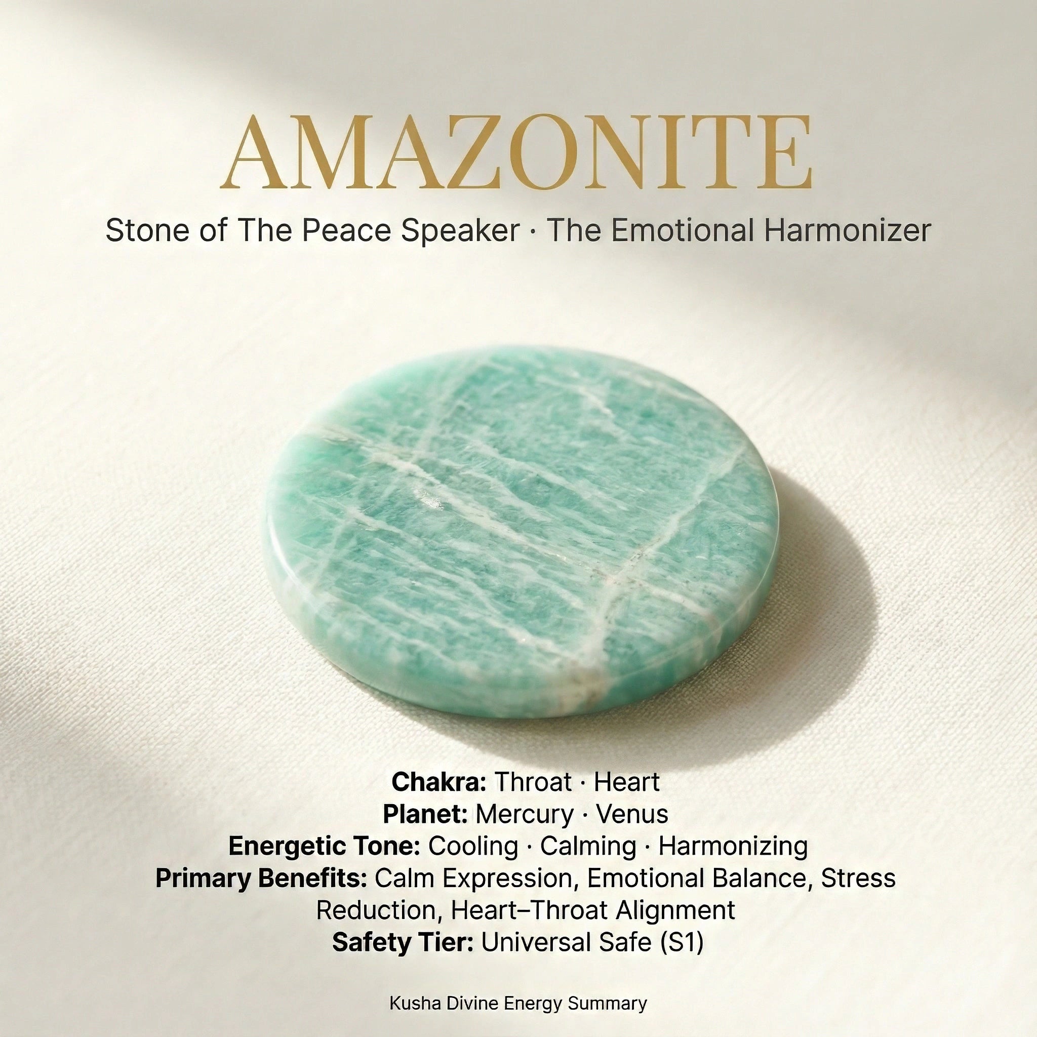Amazonite Coin