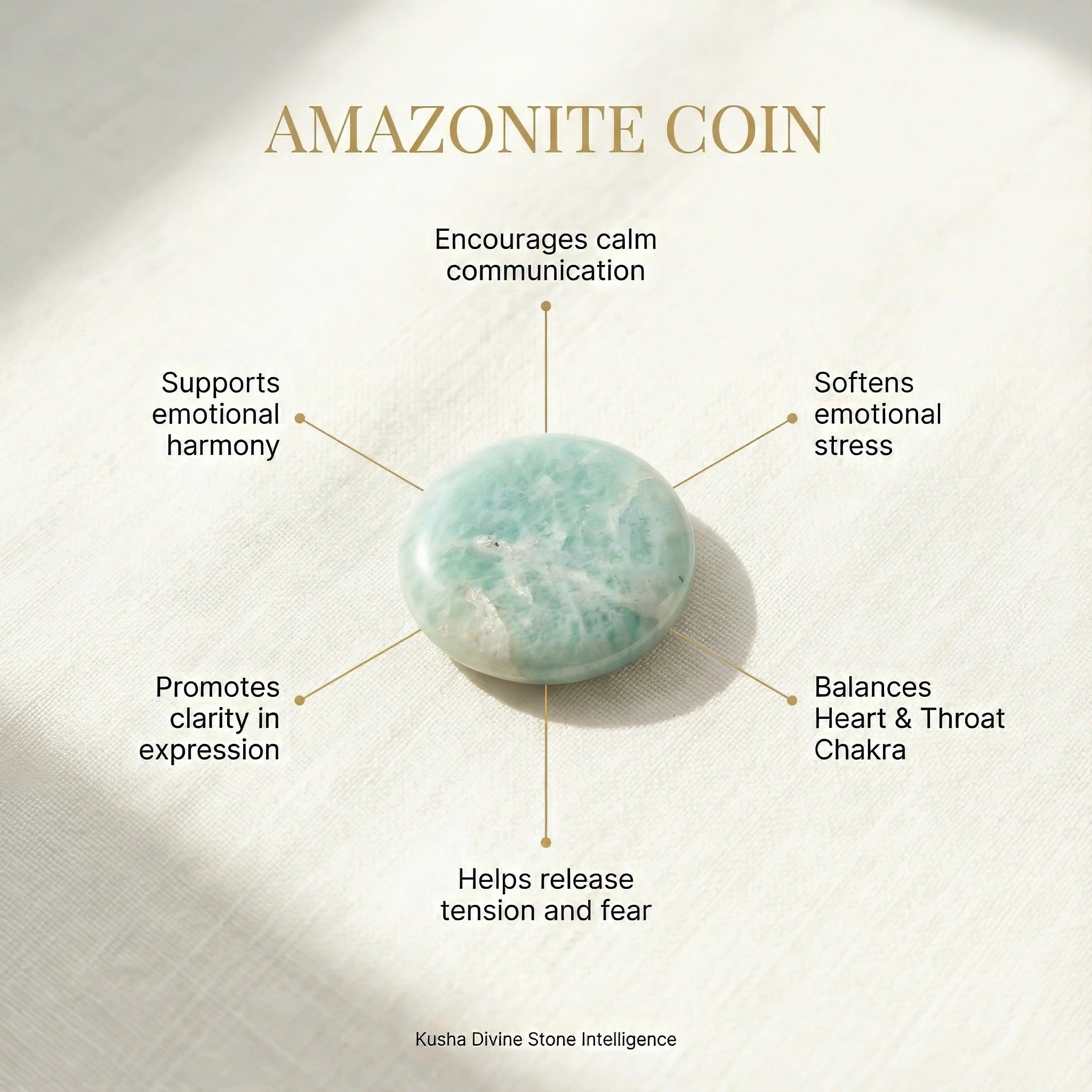 Amazonite Coin
