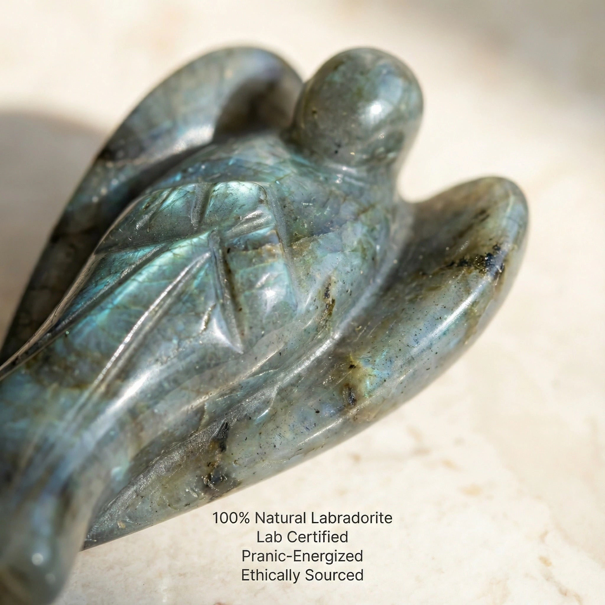 Ange en labradorite