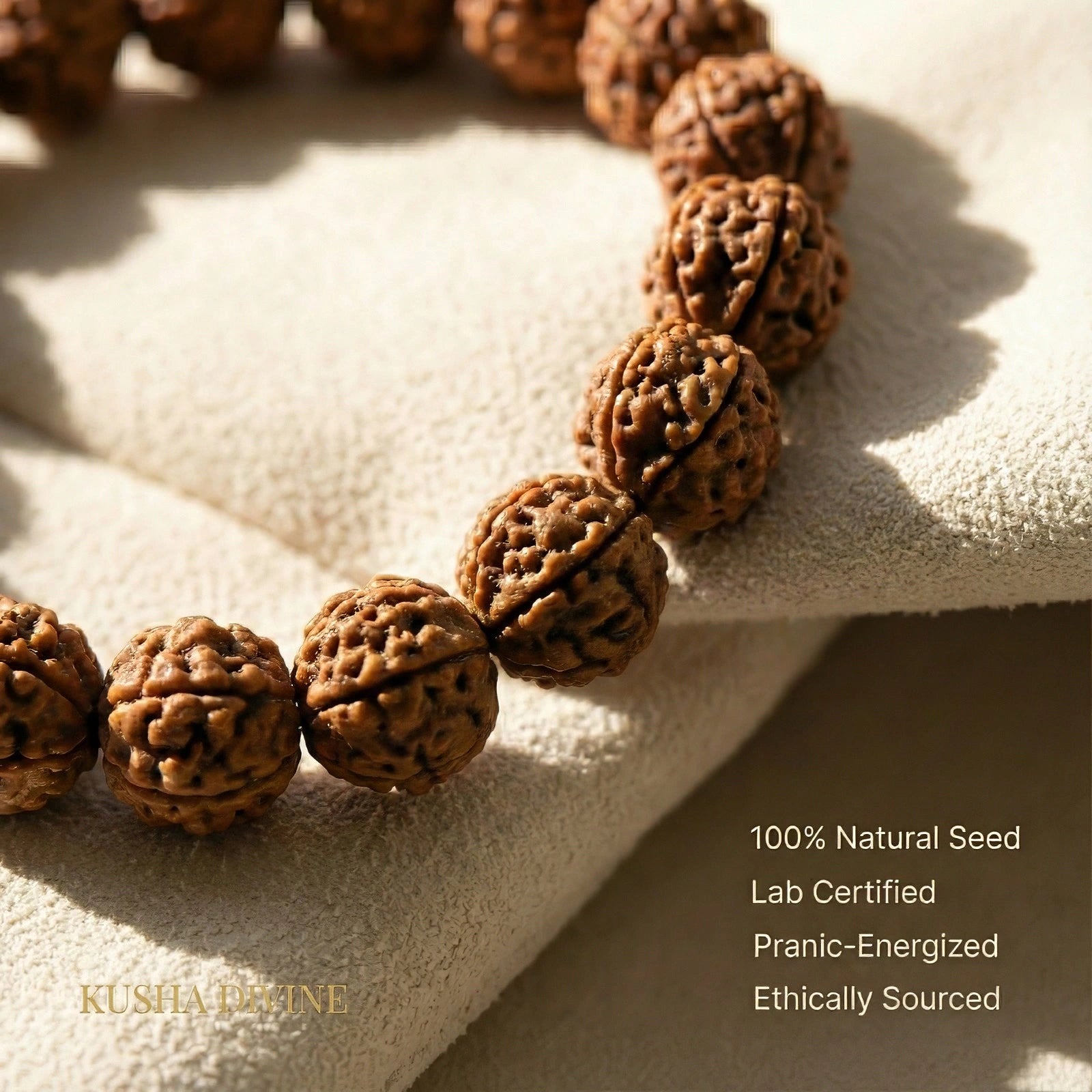 Rudraksh Bracelet